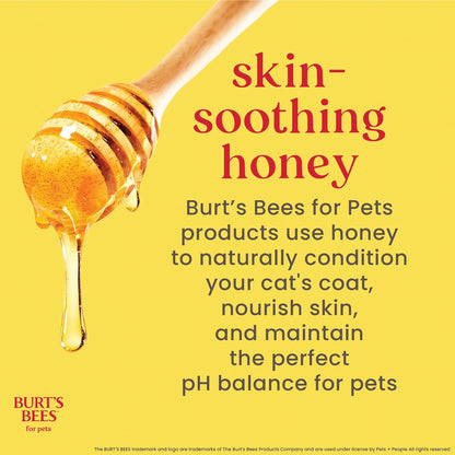 Cat Hypoallergenic Shampoo with Shea Butter & Honey | Moisturizing & Nourishing Cat Shampoo | Cruelty, Sulfate & Paraben Free, Ph Balanced for Cats - Made in USA, 10 Oz - 2 Pack